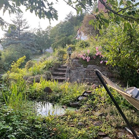 Ferienwohnung Kellerwald فالديك المظهر الخارجي الصورة