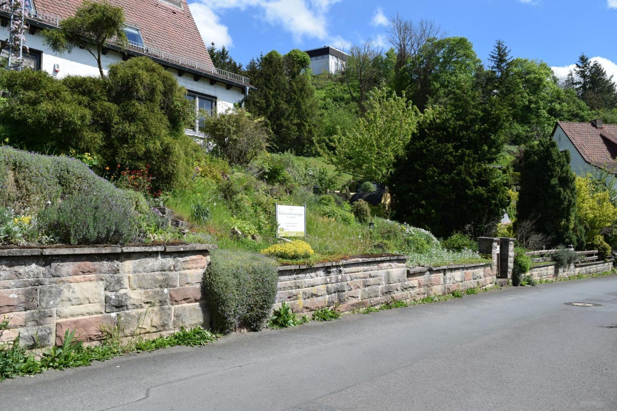 Ferienwohnung Kellerwald فالديك المظهر الخارجي الصورة